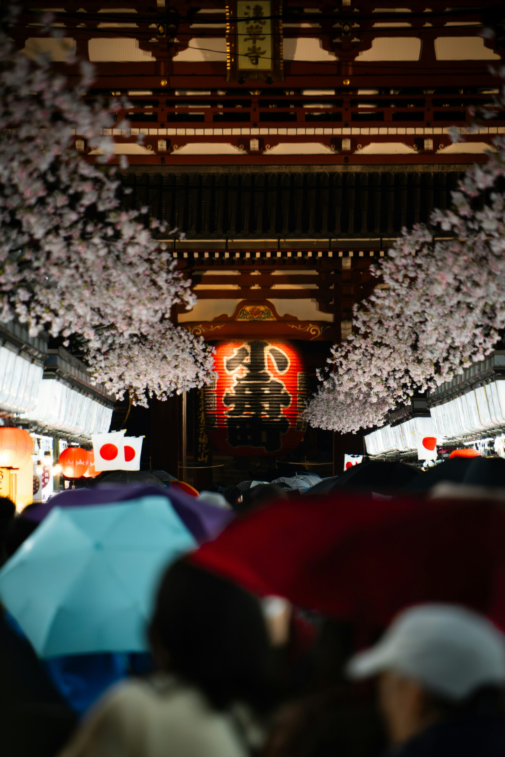 Nighttime temple entrance with cherry blossoms and lanterns illuminating the path, showing crowds with umbrellas attending a seasonal festival