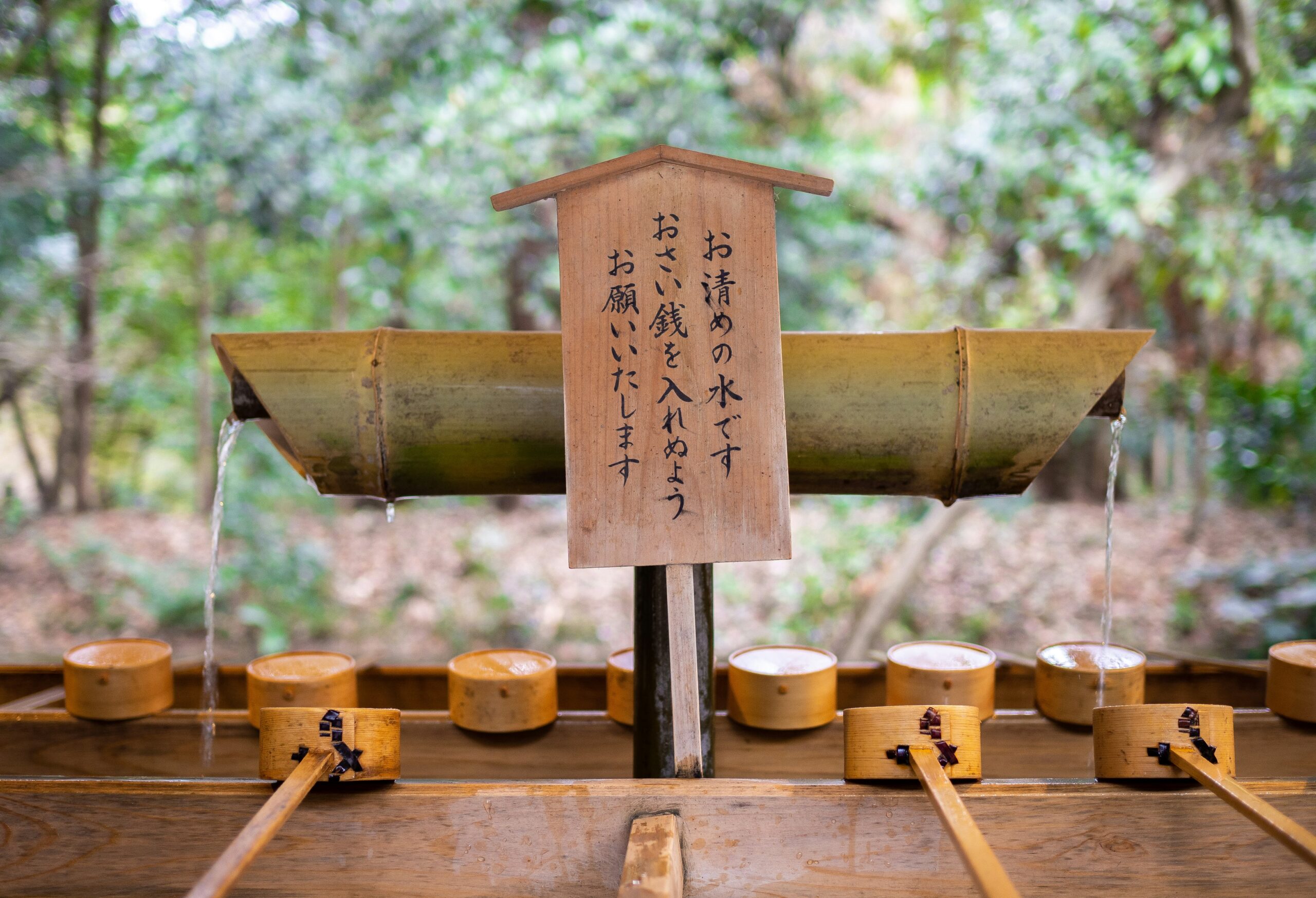Bamboo water fountain at a Japanese shrine with wooden ladles for purification rituals and a traditional signpost with Japanese text