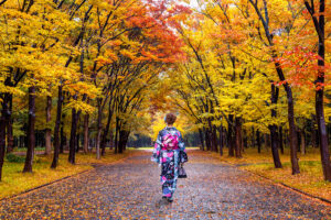 Woman in elegant red kimono with traditional umbrella standing at Daigo-ji Temple surrounded by vibrant autumn maple trees in Kyoto, showcasing the perfect harmony between traditional dress and seasonal beauty