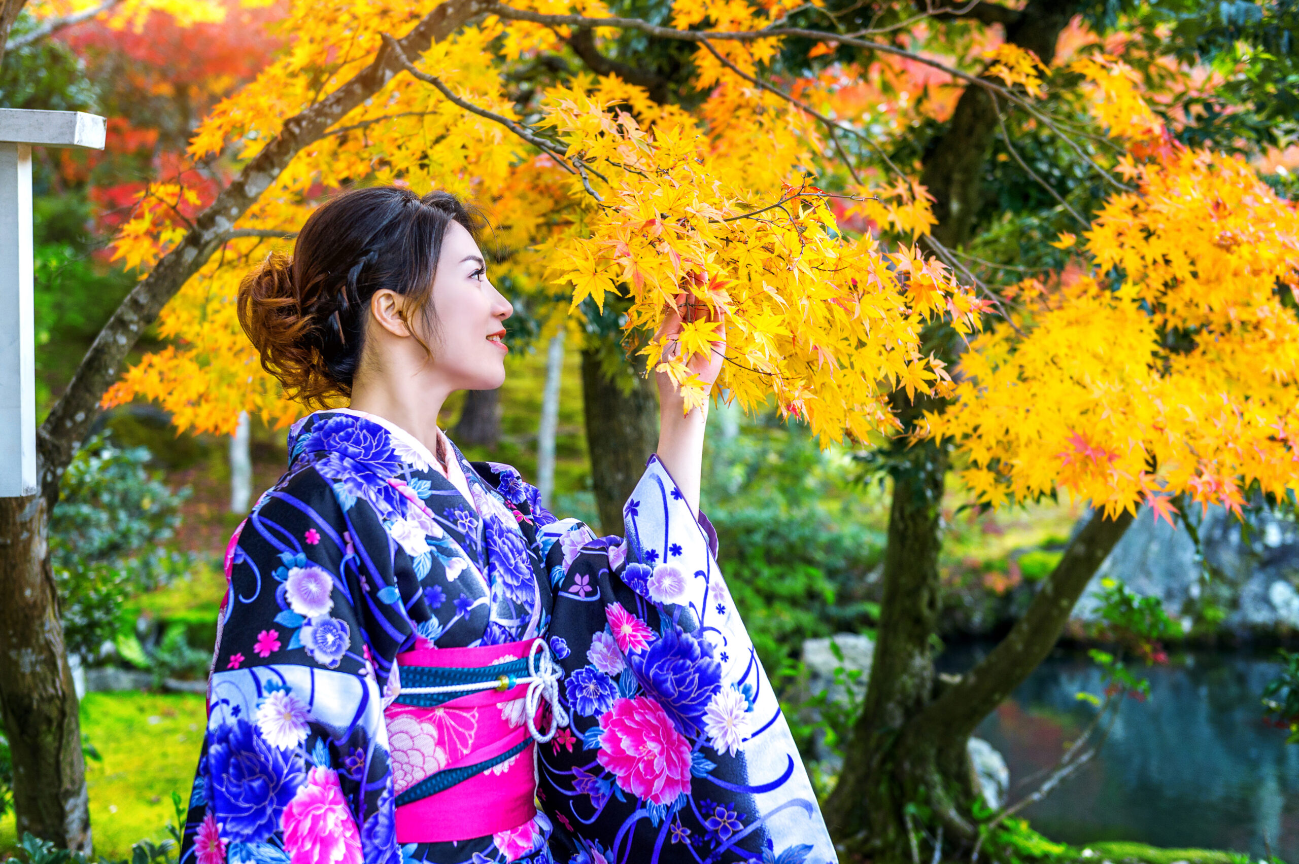 Una mujer con un kimono floral azul marino se acerca a las hojas doradas de arce otoñal en un jardín japonés, mostrando técnicas de fotografía otoñal con kimono.