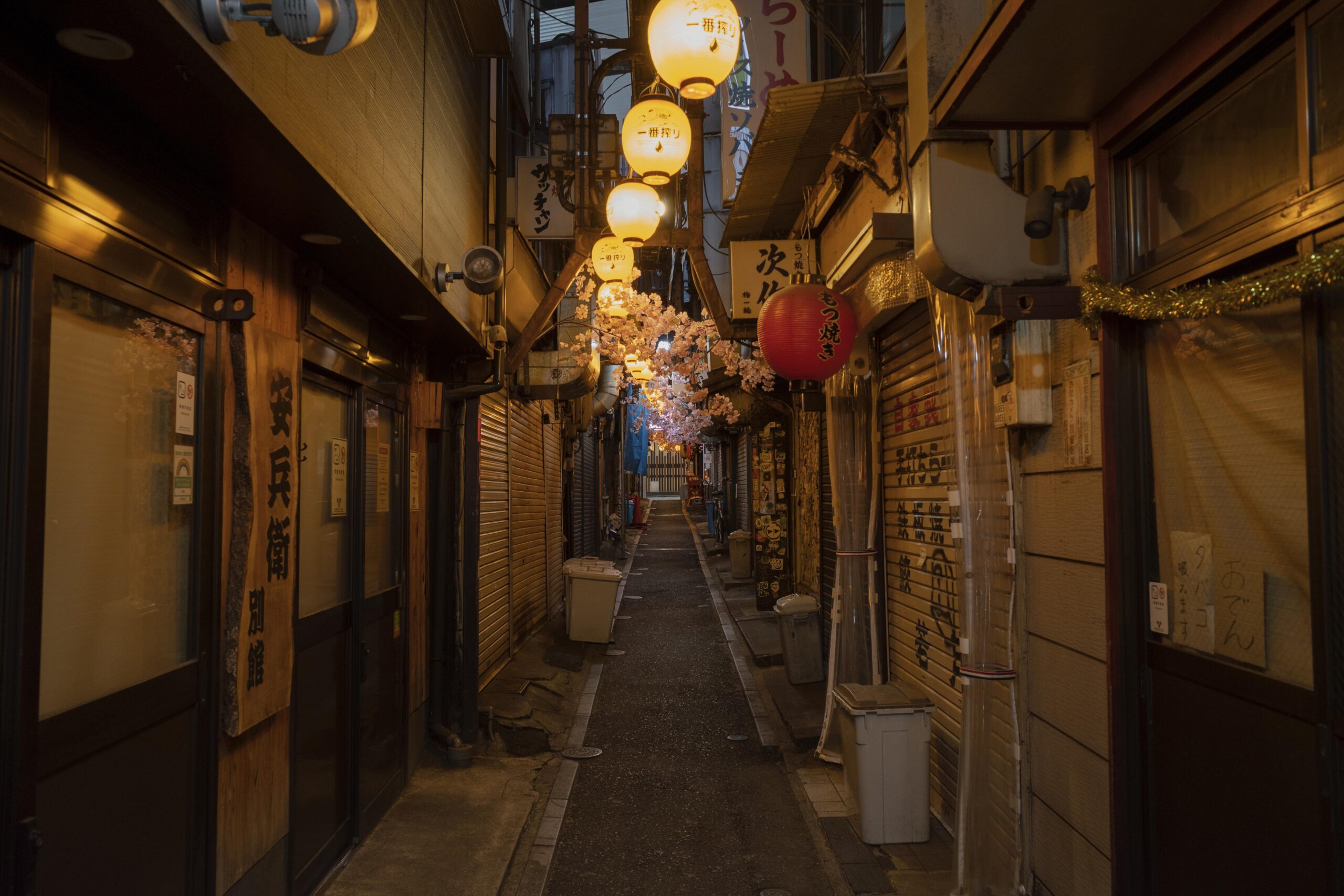 Gion district Kyoto evening atmosphere with traditional wooden buildings lanterns and geisha culture preservation