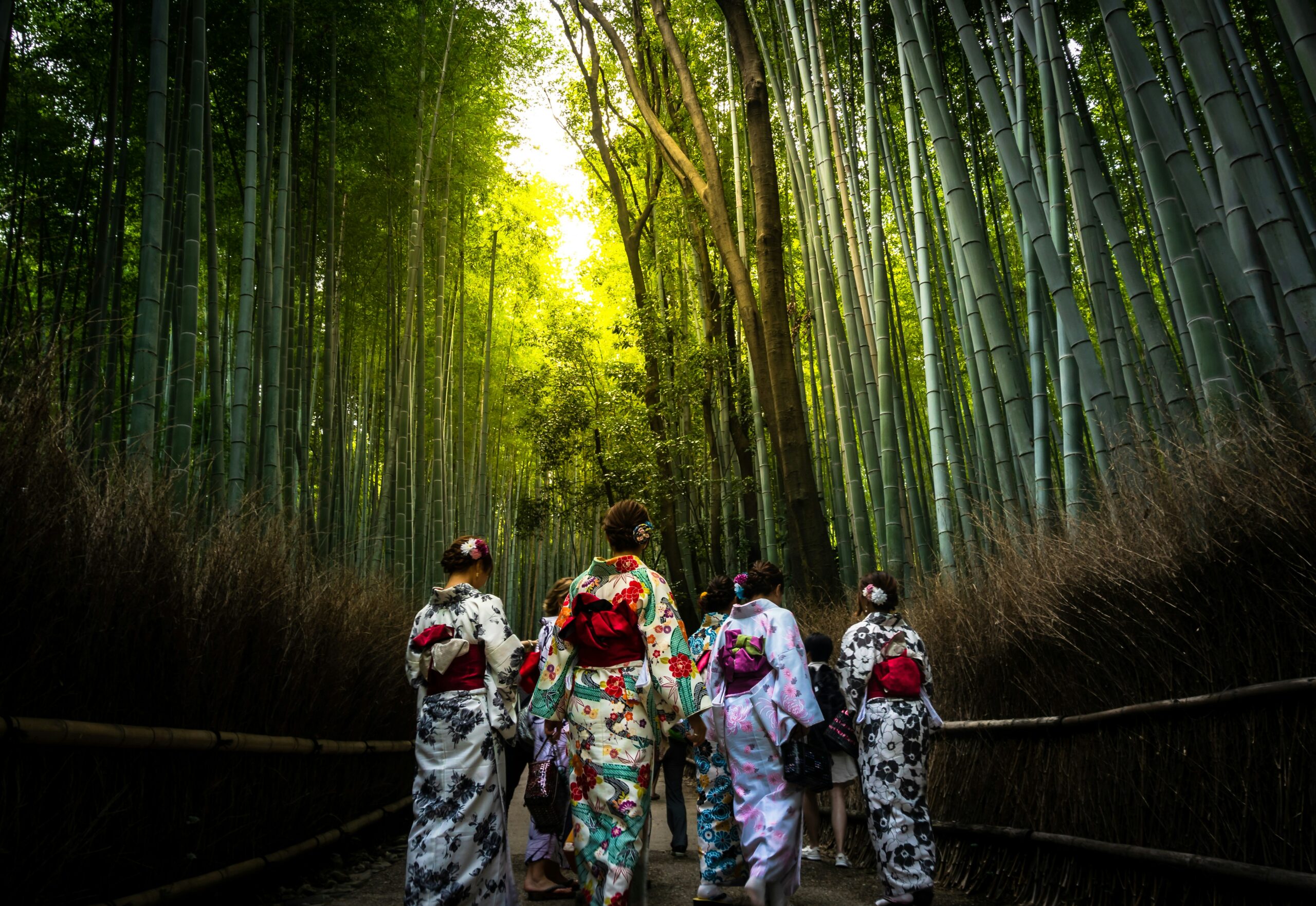 Group of people wearing vibrant colorful kimonos with unique floral patterns walking through serene bamboo forest with filtered light creating mystical atmosphere in Kyoto