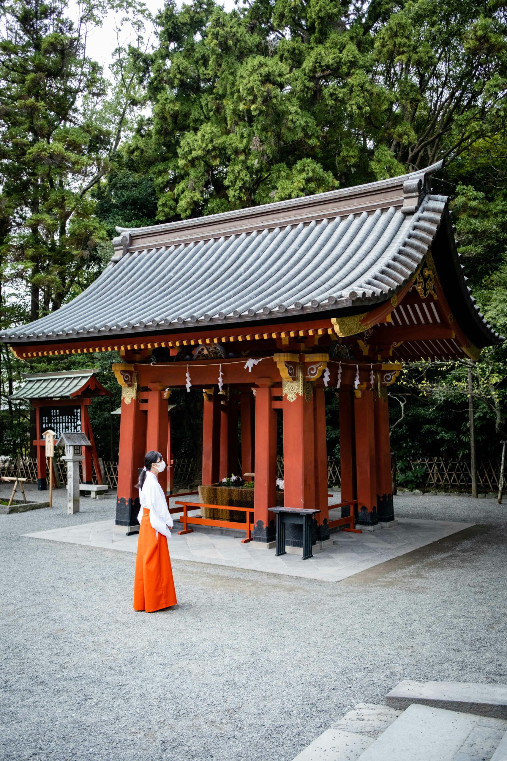 Shinto shrine miko priestess in traditional white top and red hakama pants performing sacred ceremonies at Japanese temple with traditional architecture