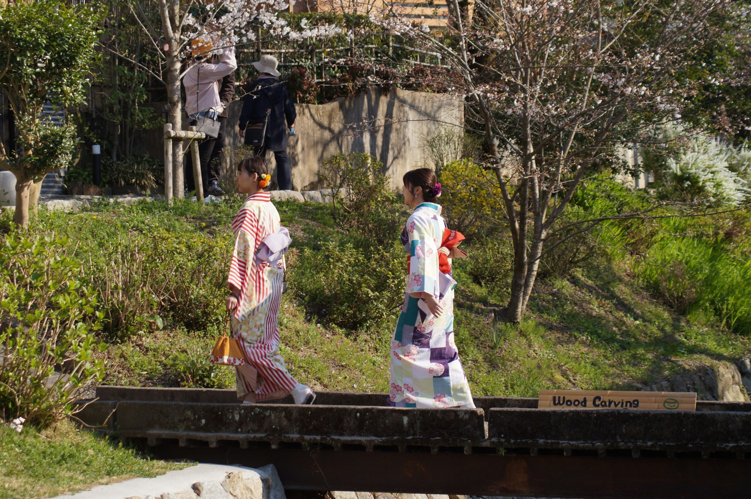 Autumn season in Arashiyama Kyoto with traditional white kimono against vibrant red maple leaves foliage at Katsura River