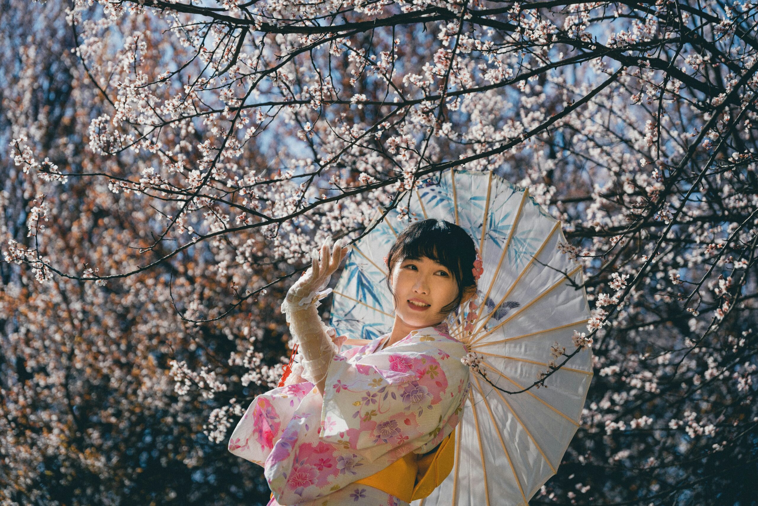 Mujer con un kimono floral pastel y una sombrilla tradicional entre flores de cerezo, mostrando la pose y composición clásicas de la fotografía de kimono de primavera.