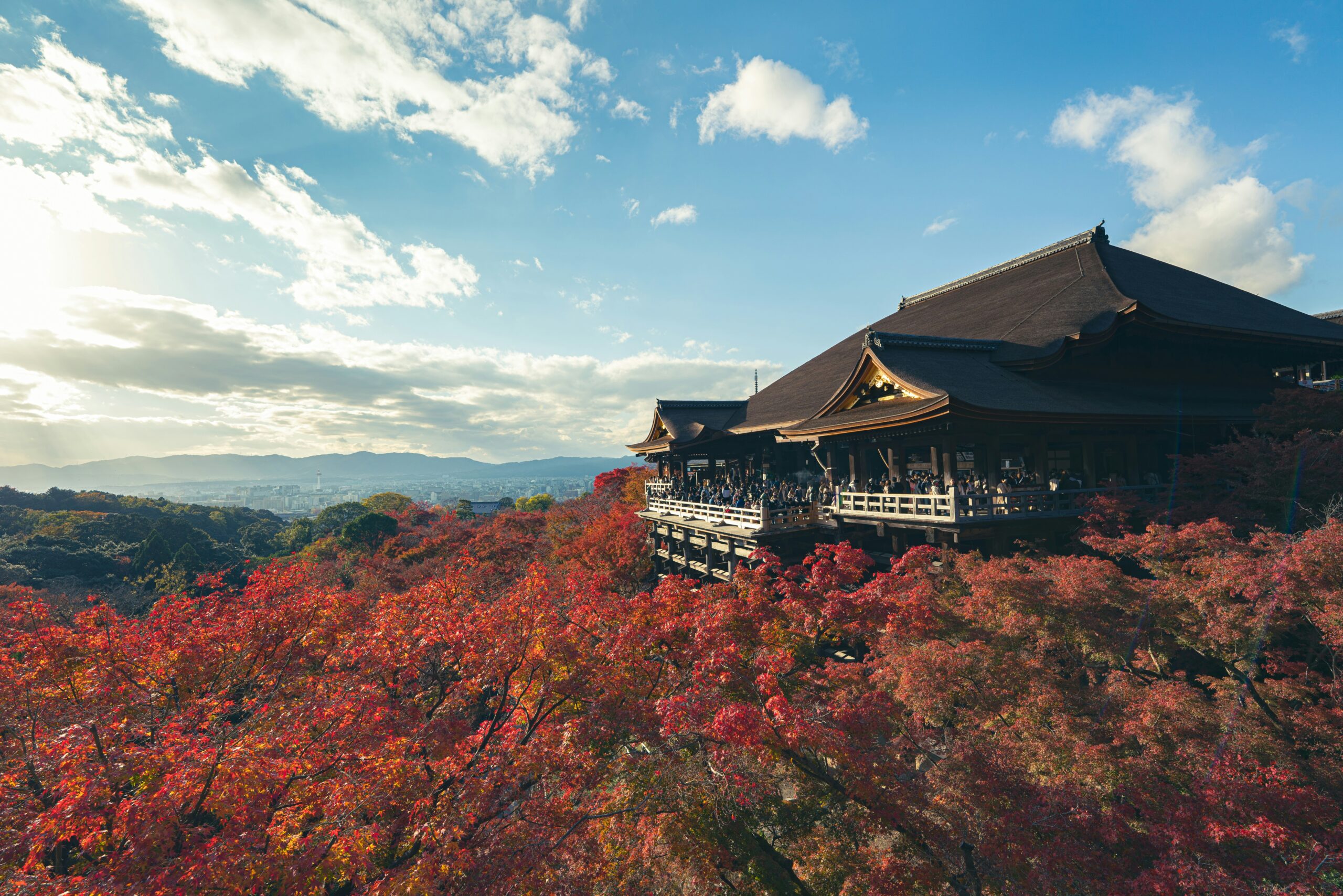 Historic Kiyomizu-dera temple in Kyoto with traditional wooden architecture and large veranda overlooking vibrant autumn maple trees with red and orange foliage under blue sky