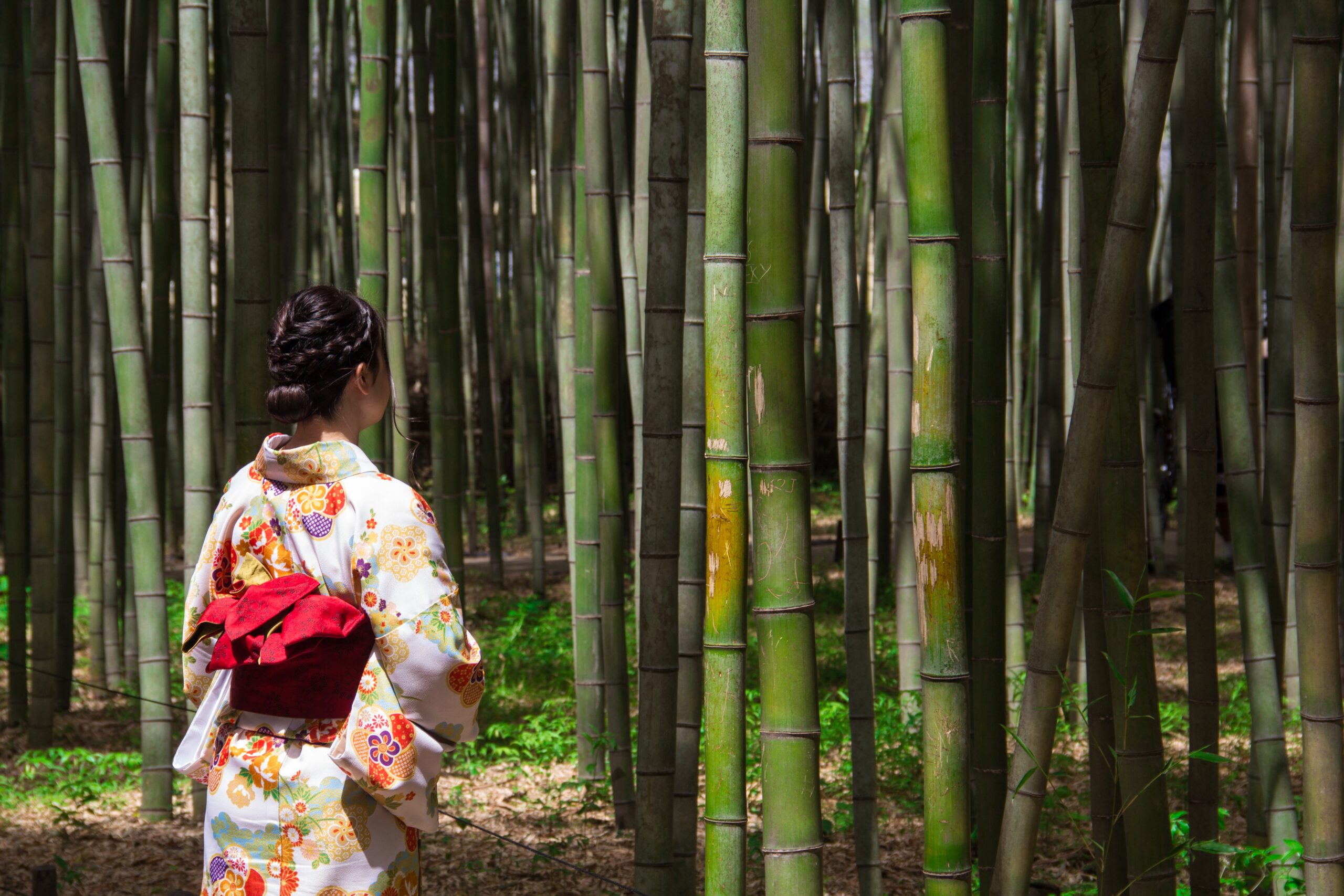 Woman in traditional white kimono with colorful floral patterns and red obi walking through serene bamboo forest grove, ideal alternative to crowded Arashiyama for kimono photography