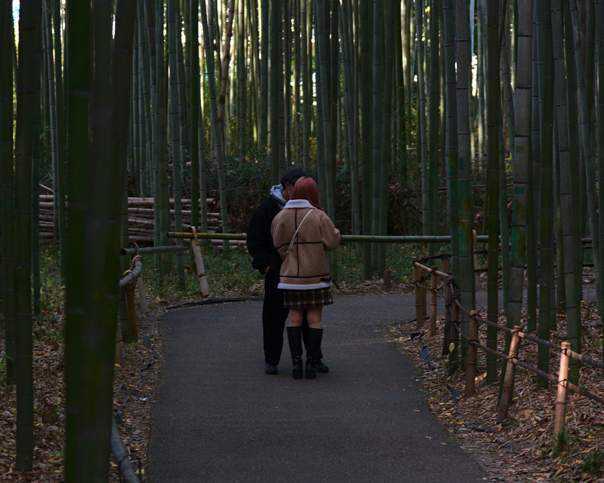 Serene pathway through the famous Arashiyama Bamboo Grove in Kyoto during a rainy day, with tall bamboo stalks creating a natural green tunnel and enhanced acoustics from rainfall