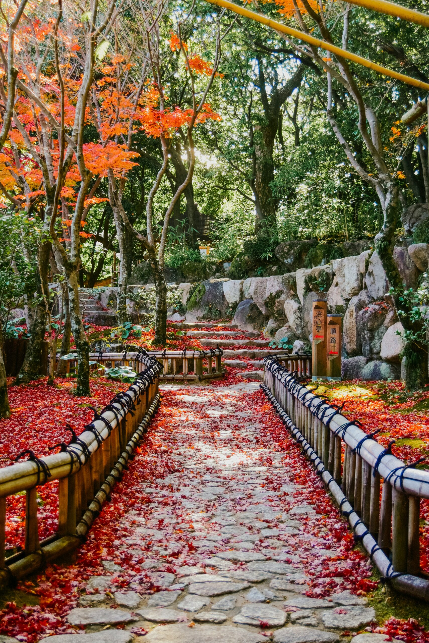 Professional kimono photography session in Kyoto capturing elegant moments during traditional tea ceremony experience