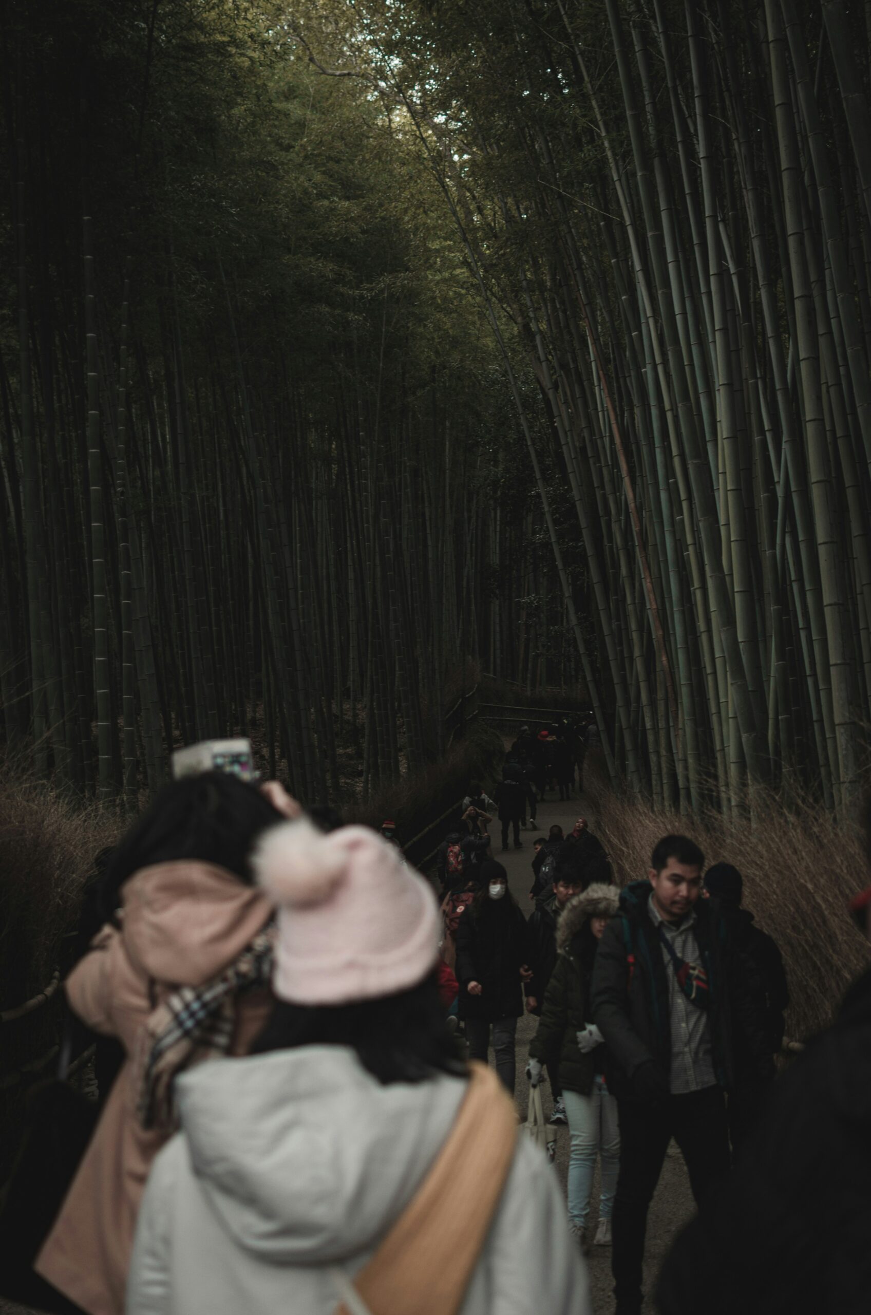 Visitors in traditional kimono walking through the famous Arashiyama bamboo forest in Kyoto, creating a perfect blend of natural beauty and cultural tradition in one of Japan's most photographed locations