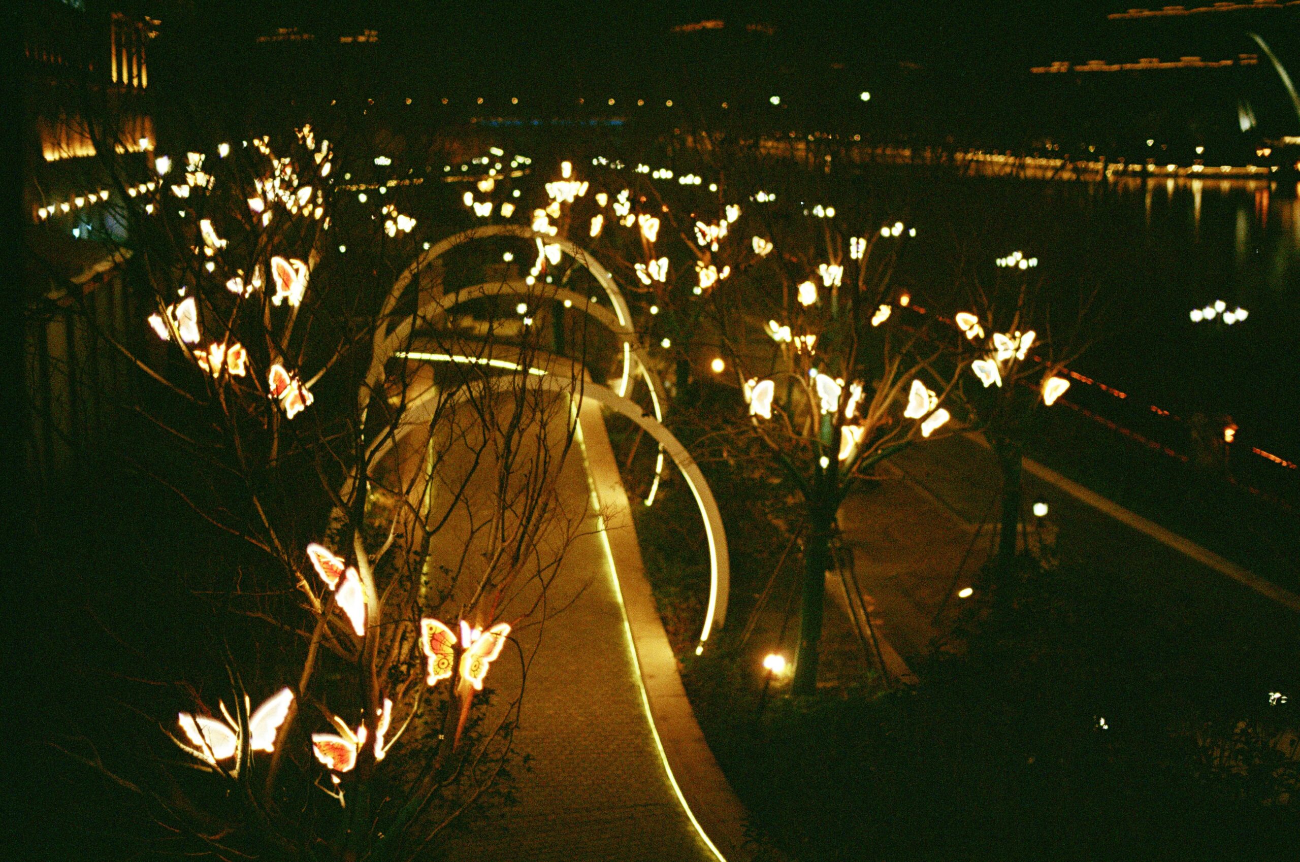 Kurama Fire Festival in Kyoto showing dramatic torches and participants in traditional Japanese clothing celebrating agricultural harvest traditions at night