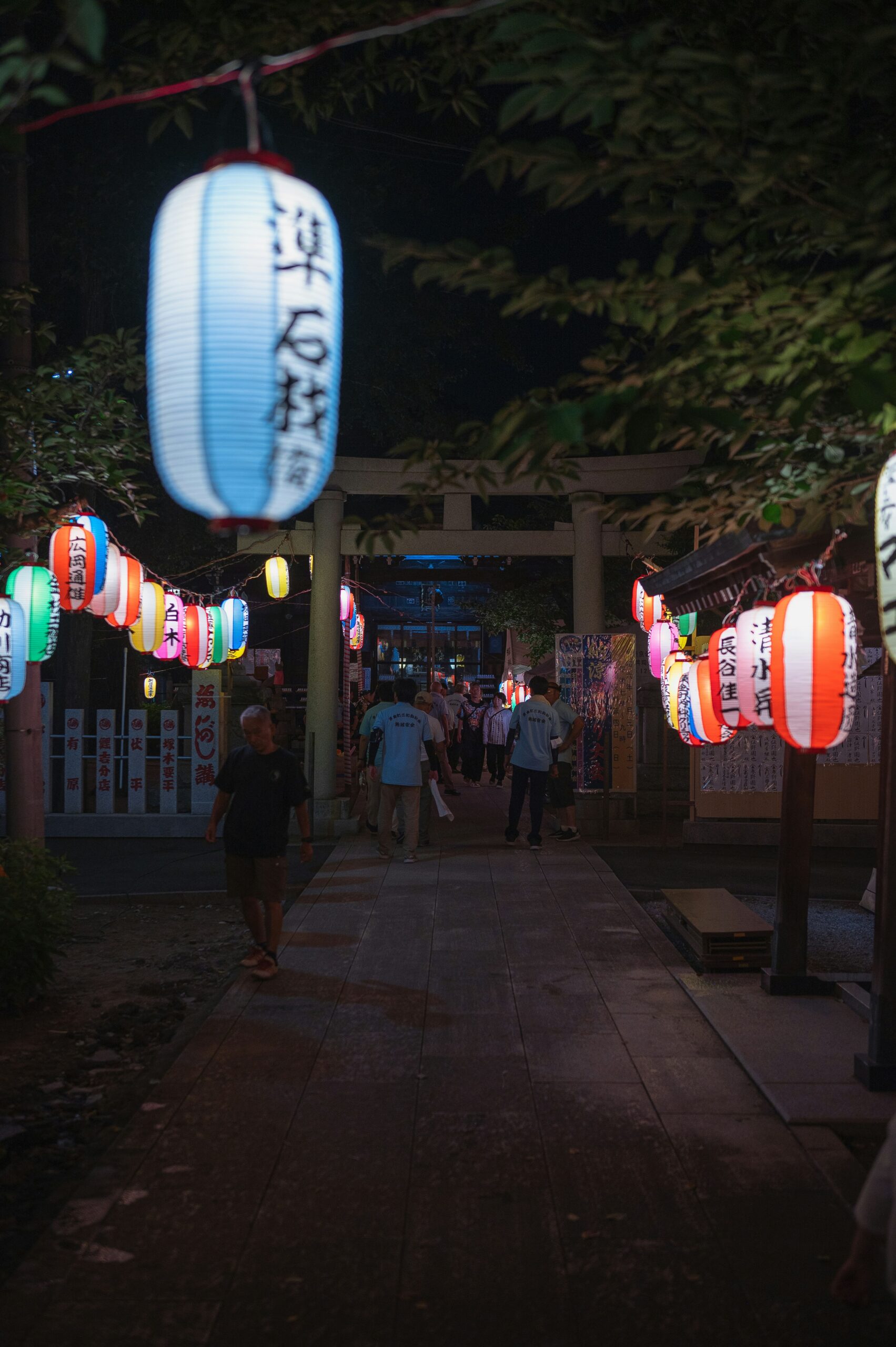 Pontocho alley at night in Kyoto illuminated by traditional red lanterns with wooden teahouses, restaurants, and the narrow atmospheric street leading to the Kamo River