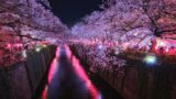 all phot kyoto blog img