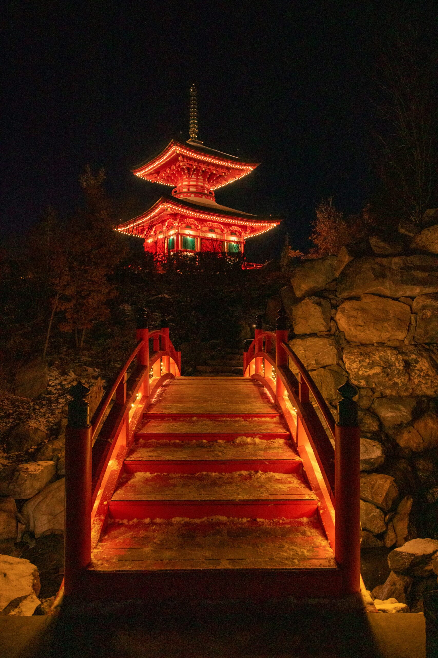 Kiyomizu-dera temple night illumination with cherry blossoms and traditional Japanese architecture glowing against dark sky in Kyoto