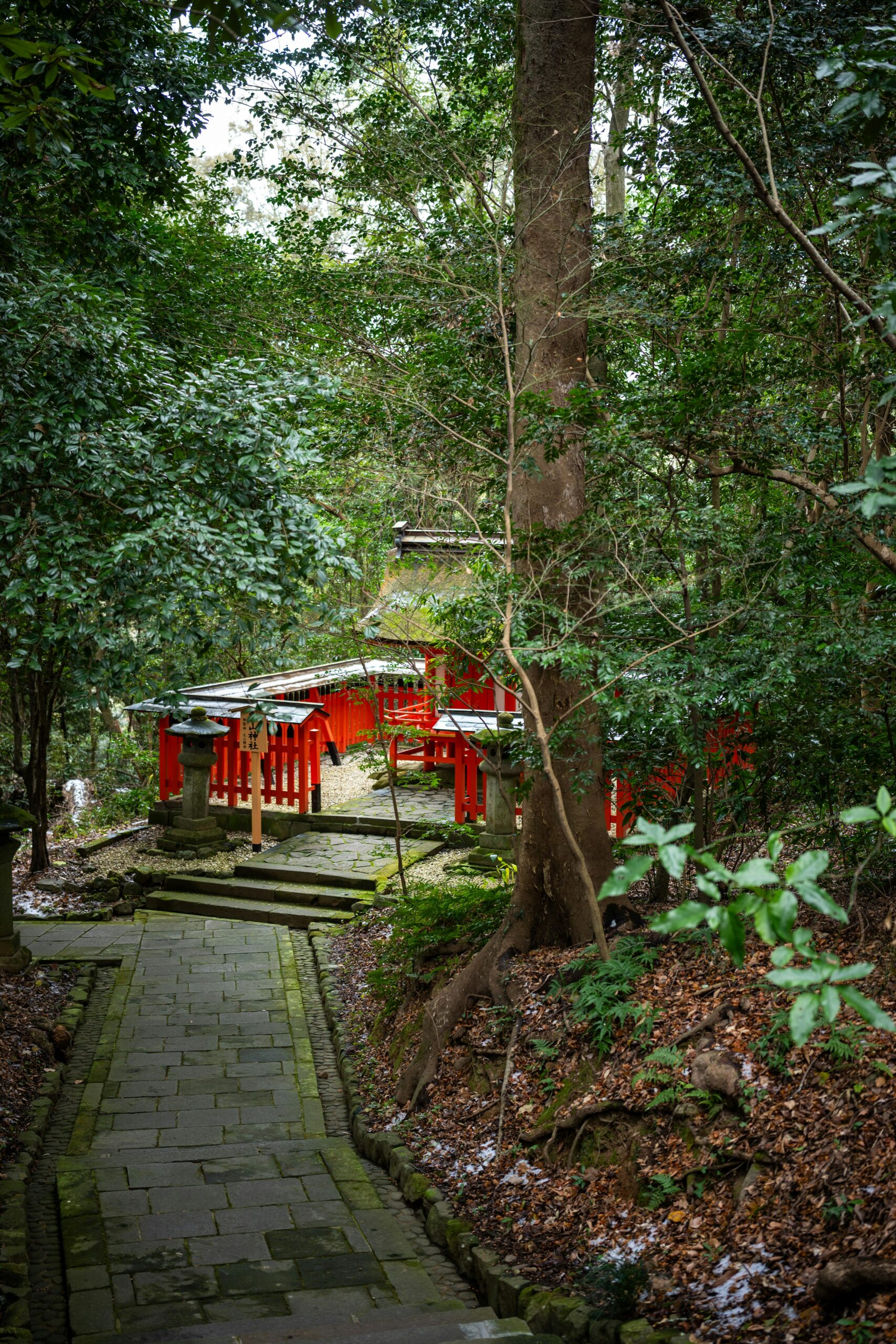 Scenic forest trail path with torii gates at Fushimi Inari mountain shrine in Kyoto showing peaceful hiking route through traditional Japanese architecture and nature