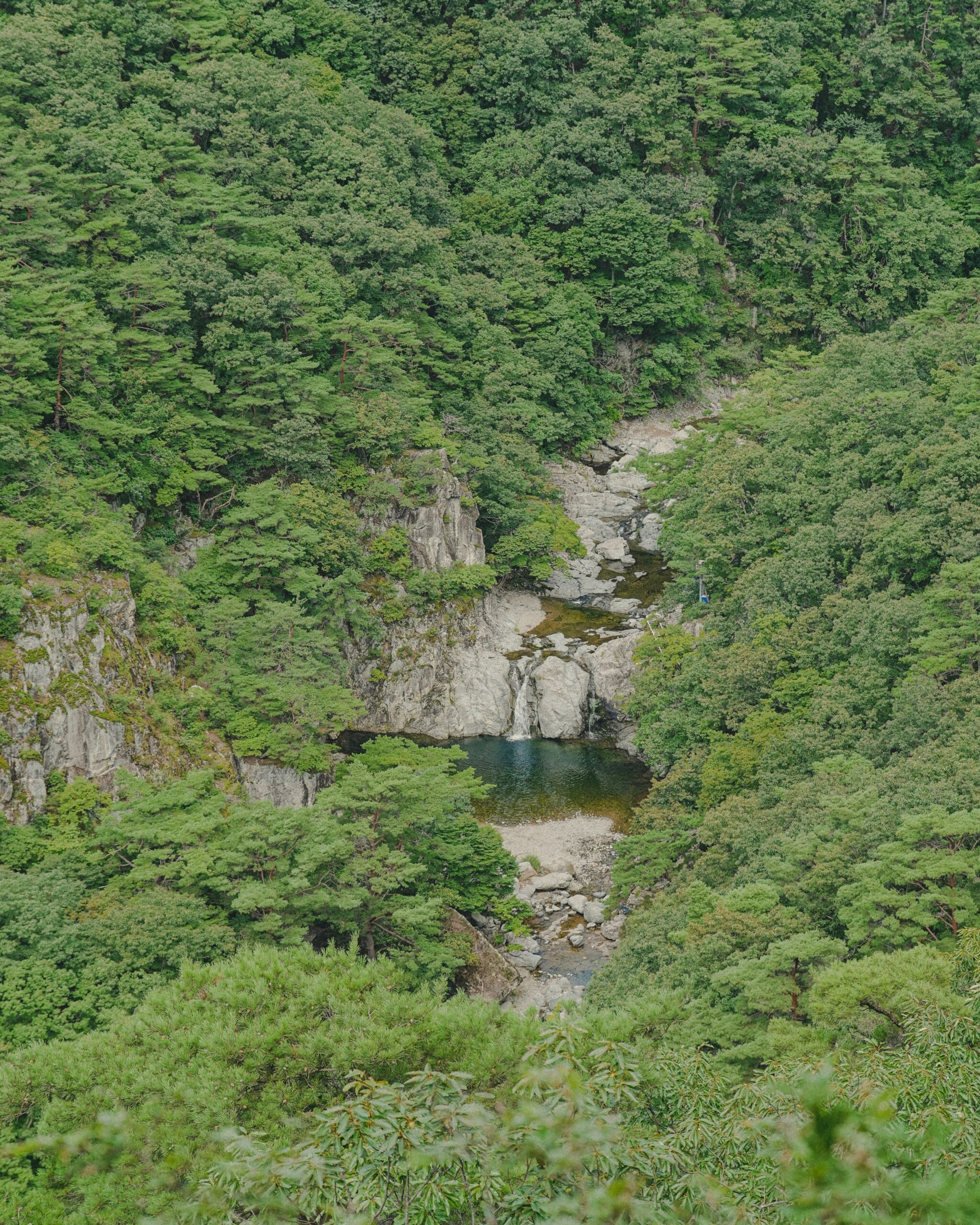 Mountain forest onsen hot springs surrounded by lush greenery and natural landscape creating serene wellness environment