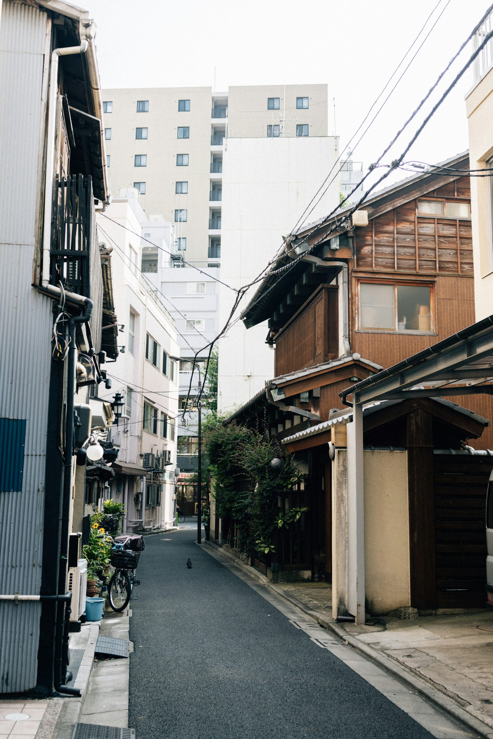 奈良历史悠久的奈良町地区，传统的木制町屋，拥有正宗的江户时代建筑风格，是拍摄和服照片以及体验文化的理想场所。