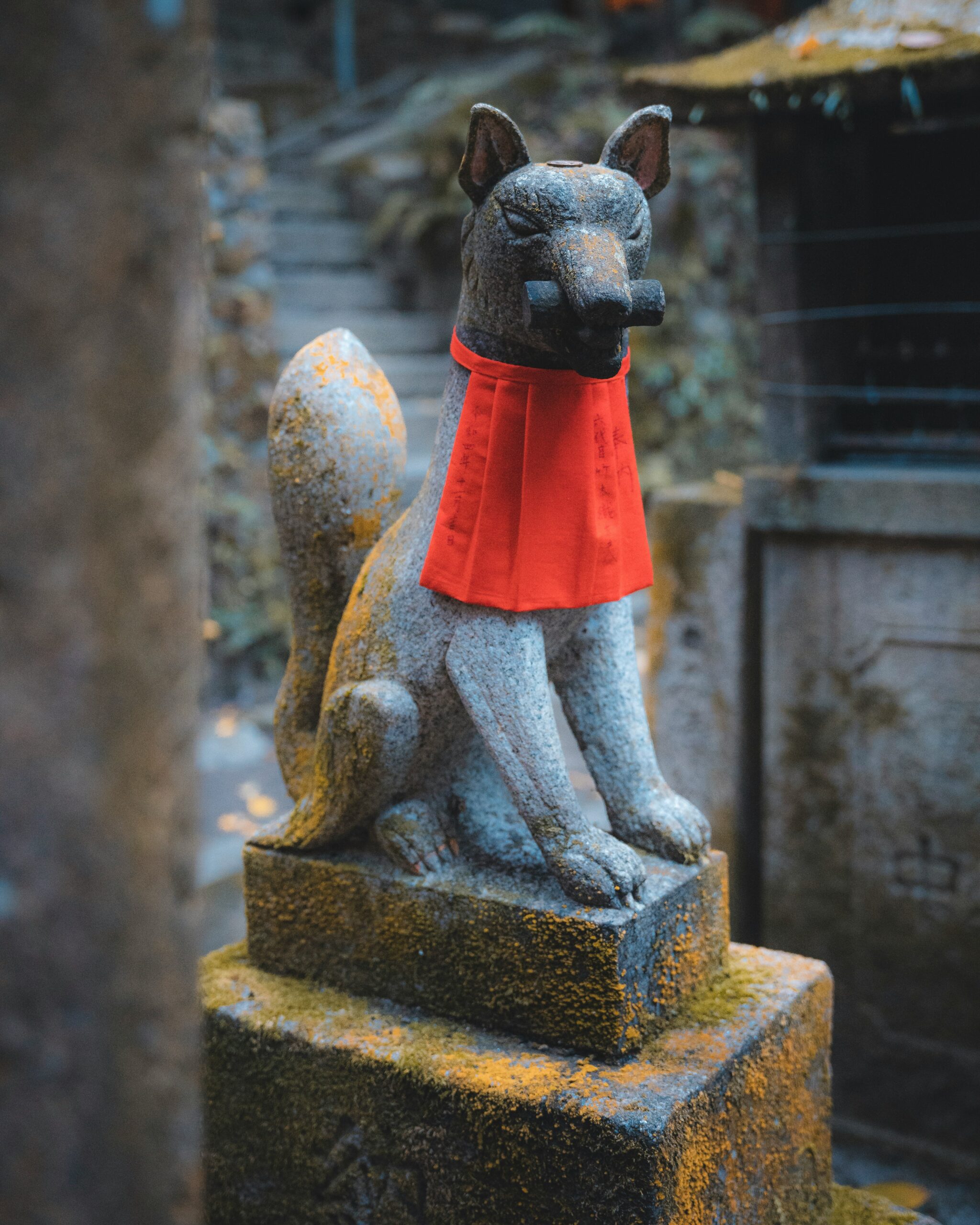 kitsune