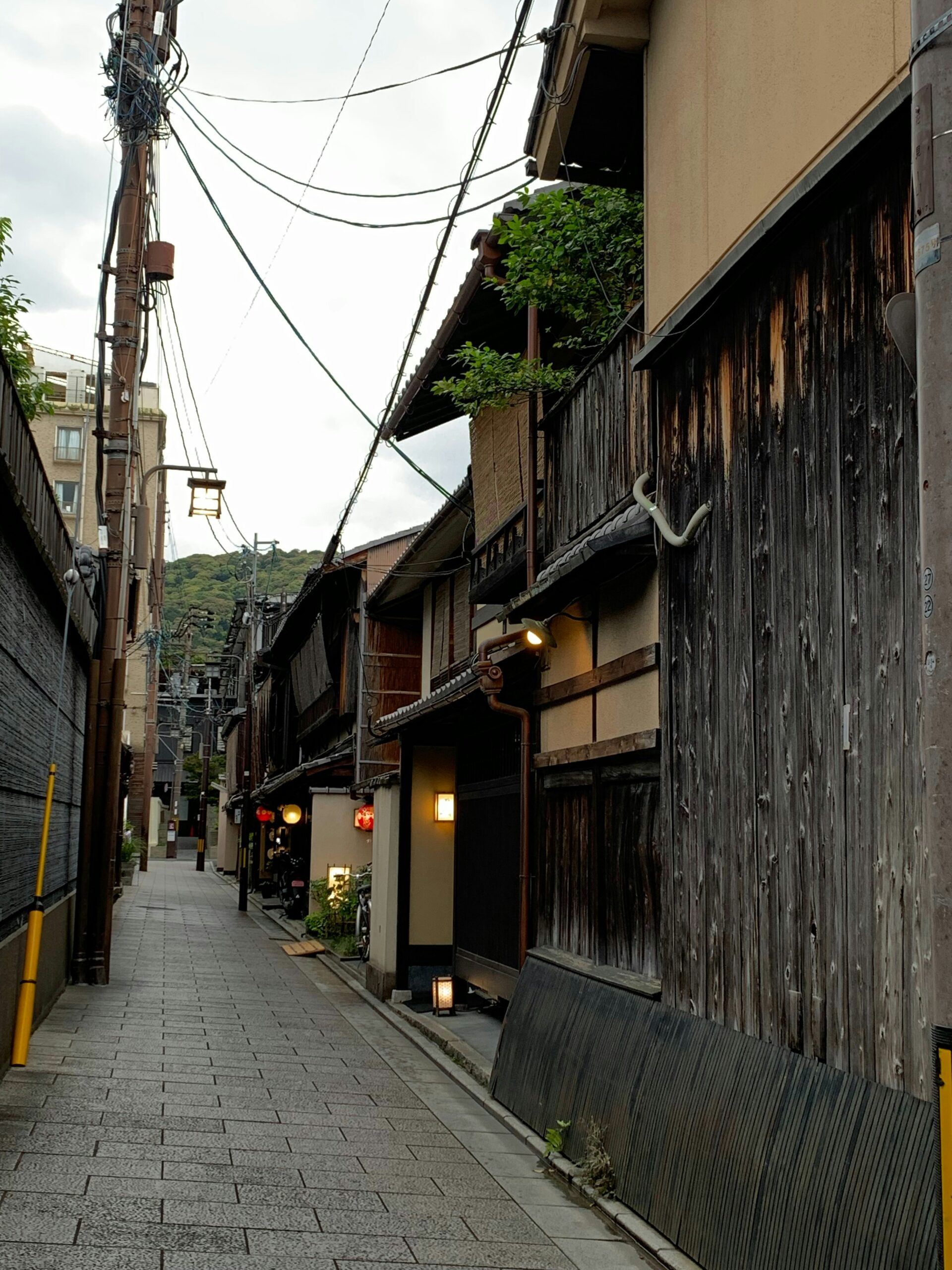 Traditional Kyoto machiya wooden townhouses with distinctive latticed windows and wooden facades lining historic street