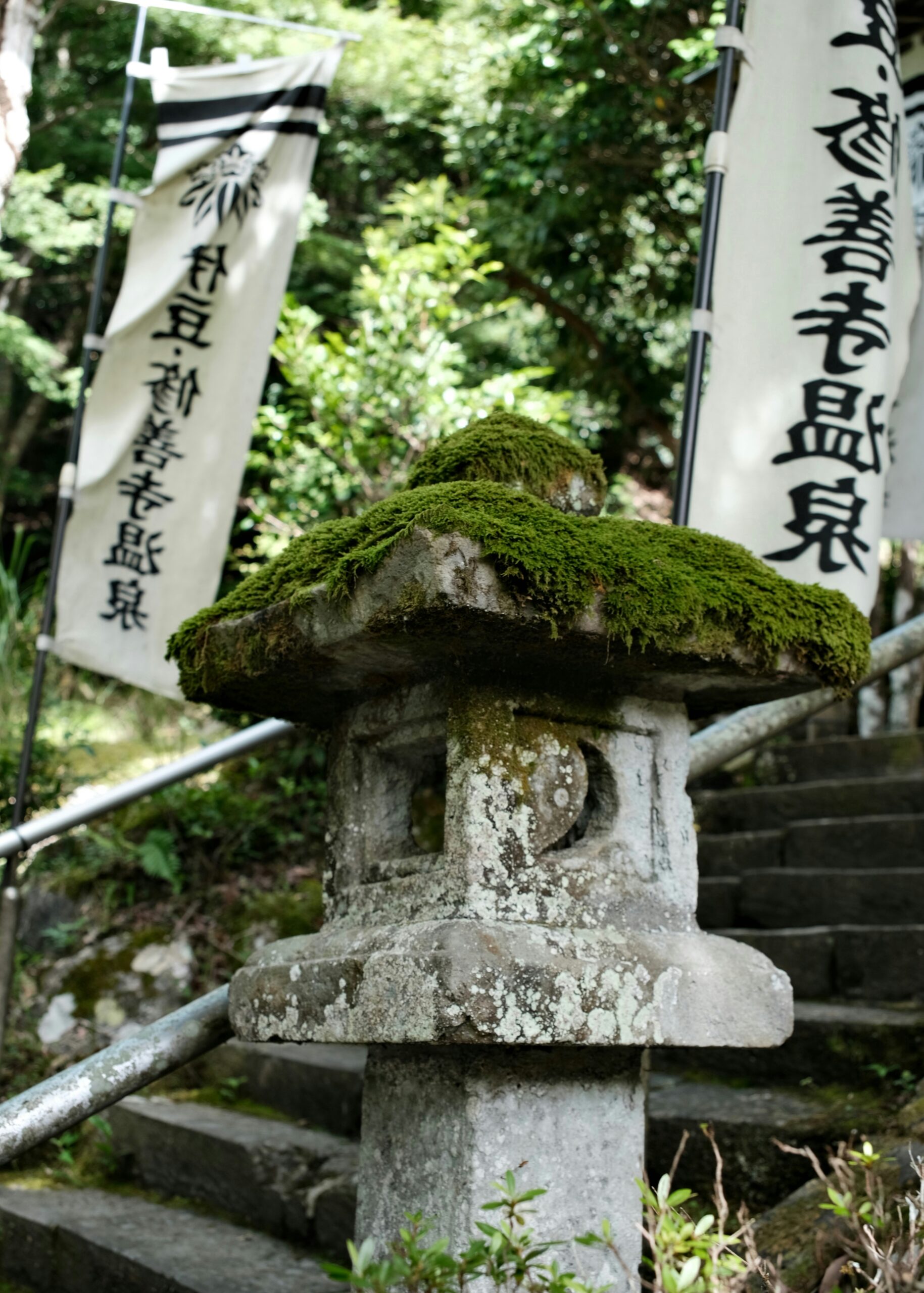 Stone lantern covered in moss along peaceful forest temple pathway in Kyoto with traditional Japanese garden elements and serene atmosphere