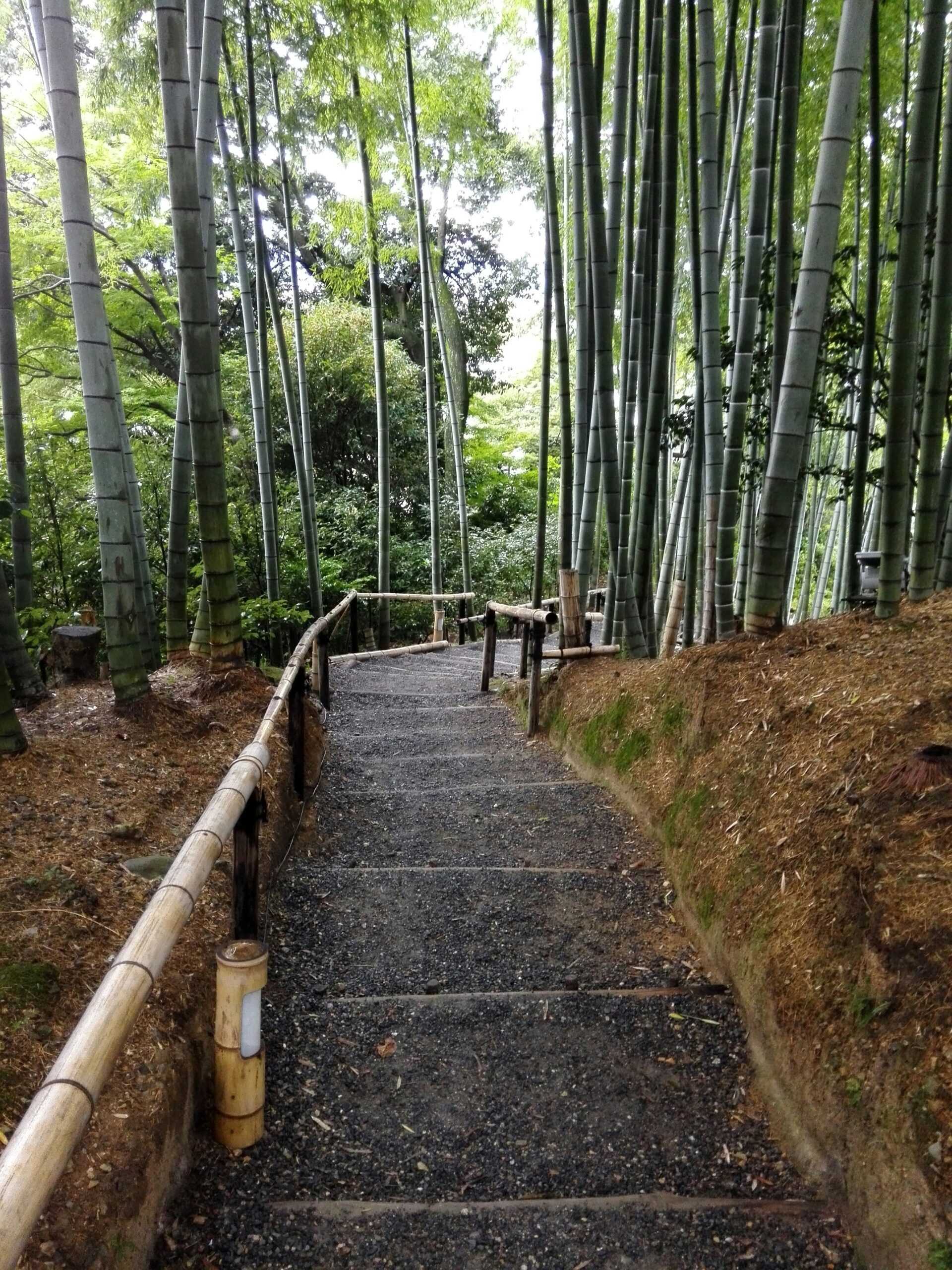 Historic Higashiyama district in Kyoto with traditional wooden buildings narrow stone pathways and scenic views perfect for kimono photography and cultural exploration