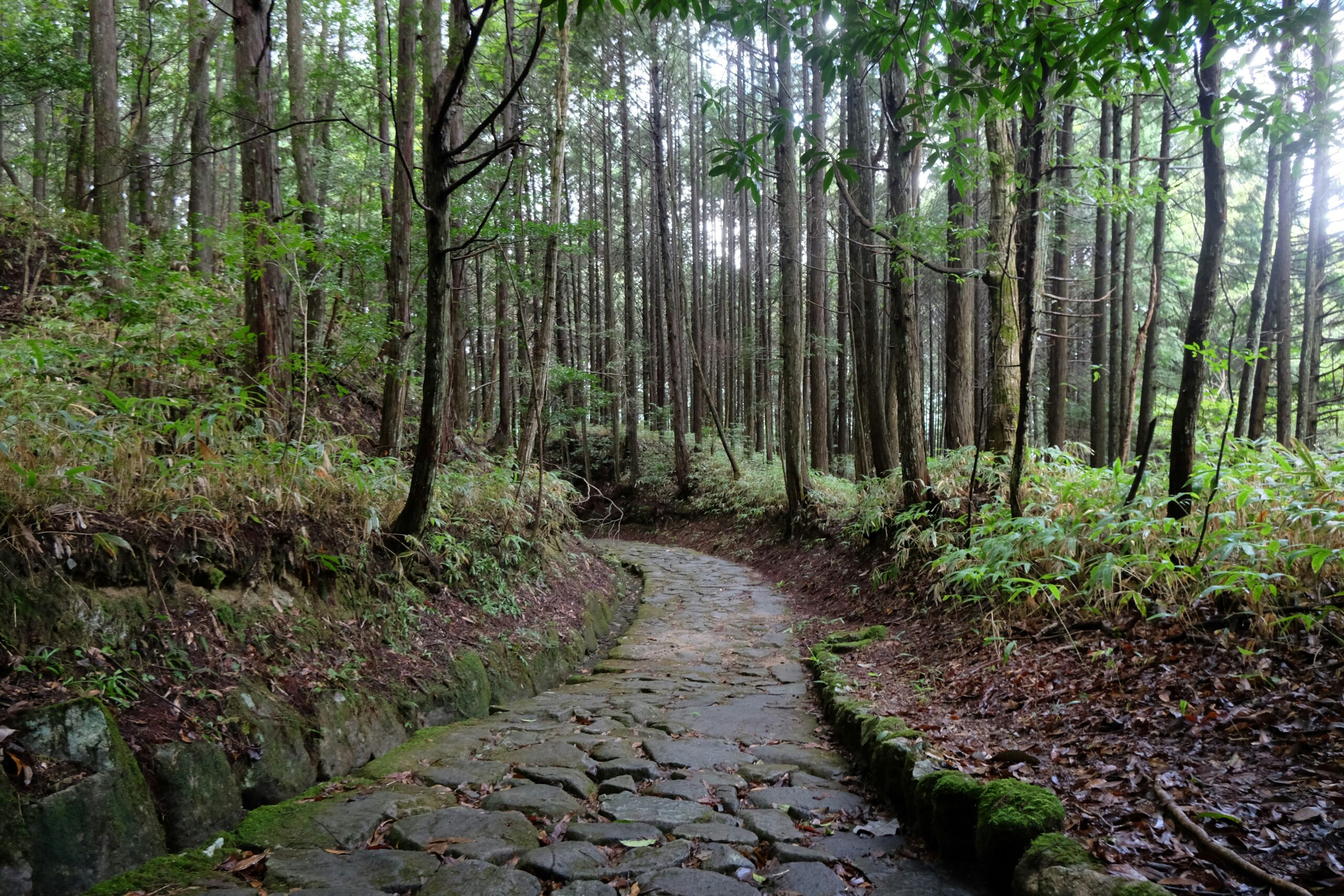 Kurama onsen hot spring area in northern Kyoto mountains with outdoor natural thermal bath surrounded by Japanese cedar forest traditional ryokan architecture peaceful mountain retreat atmosphere