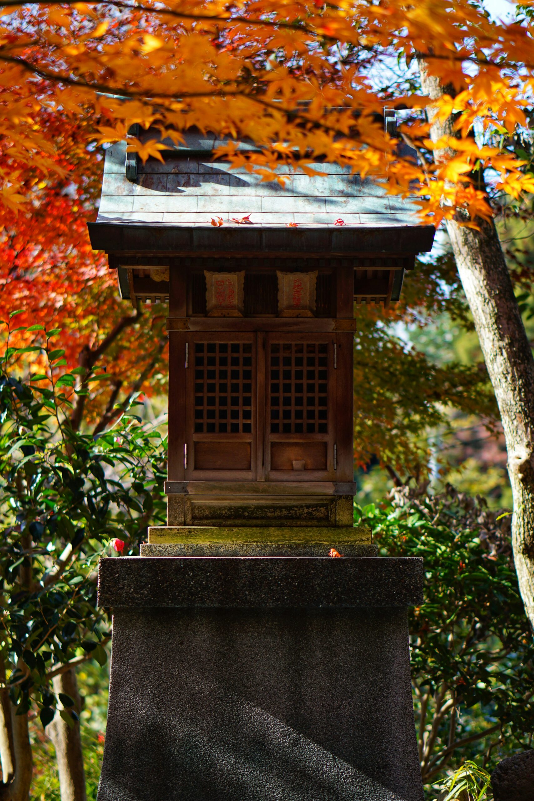 Historic Kiyomizu-dera Temple surrounded by vibrant autumn foliage in Kyoto representing seasonal impermanence and Japanese aesthetics
