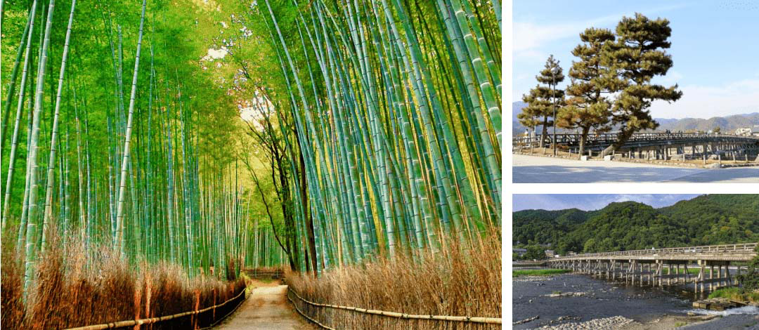 Arashiyama photo