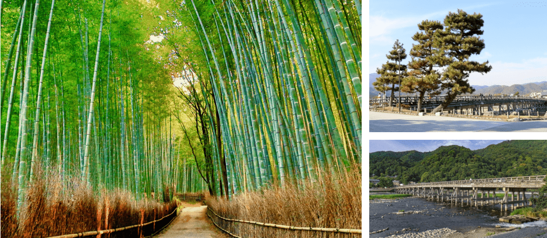 Arashiyama photo