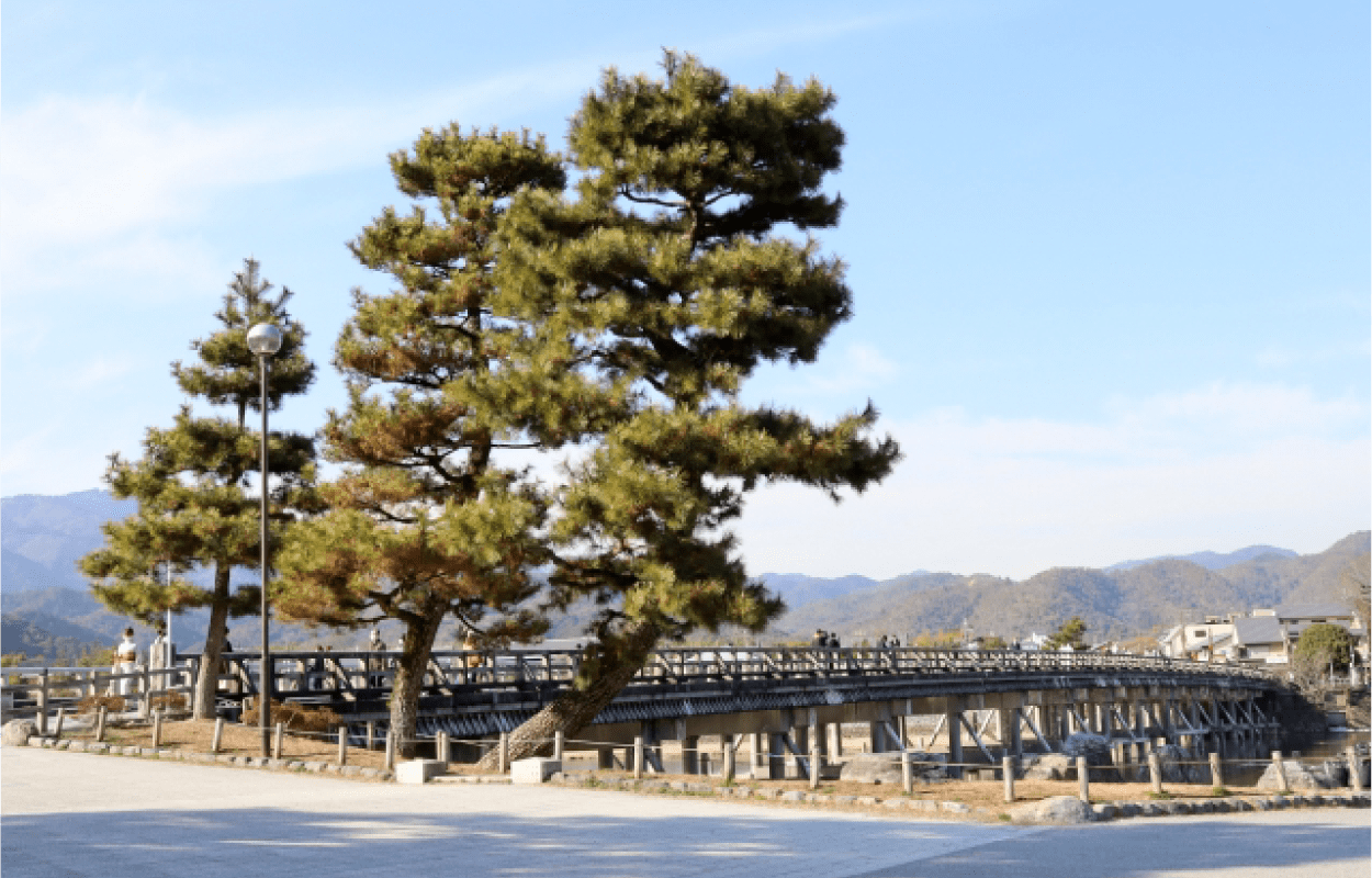 Arashiyama photo